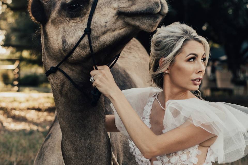 Bride and camel