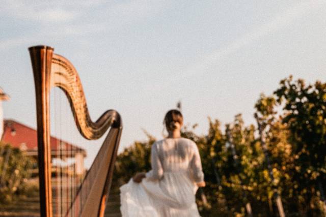 irinaharpist