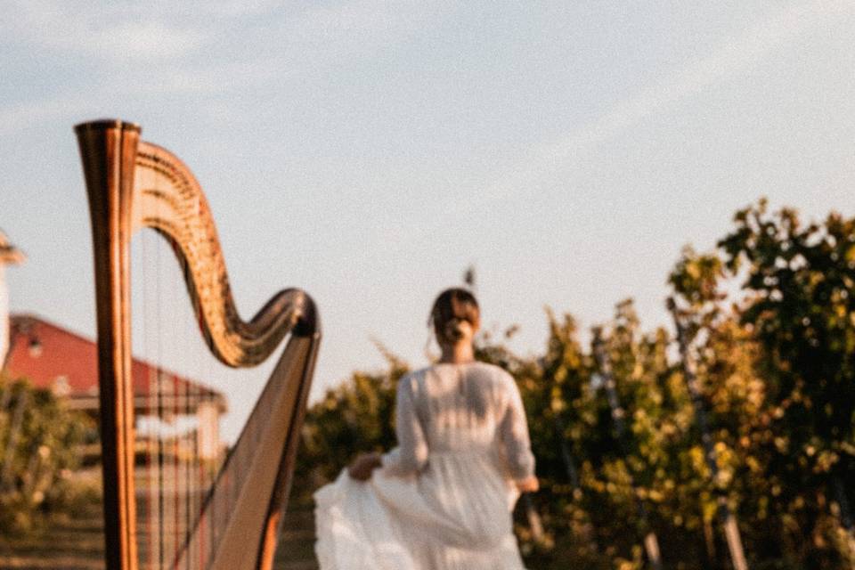 irinaharpist