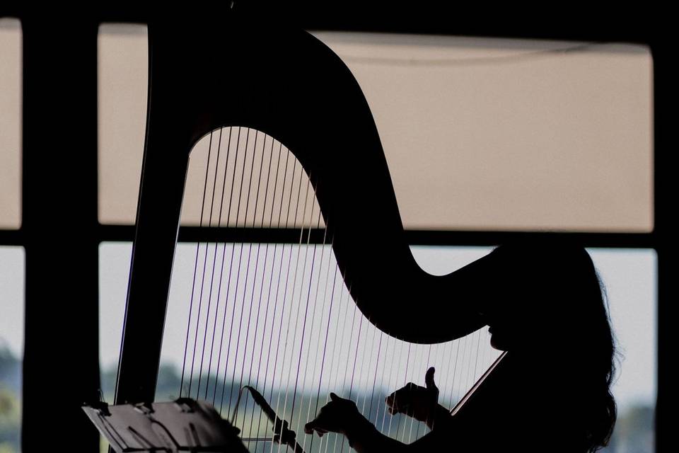 irinaharpist