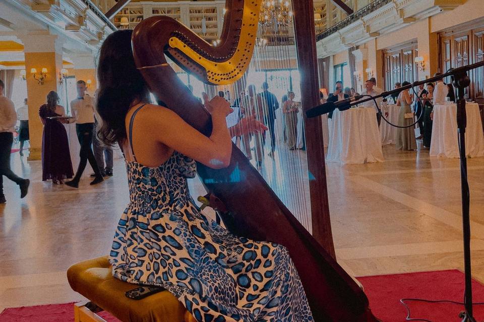 irinaharpist