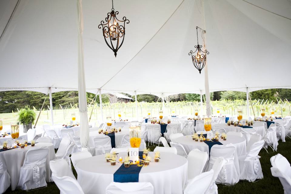 Reception tent setup