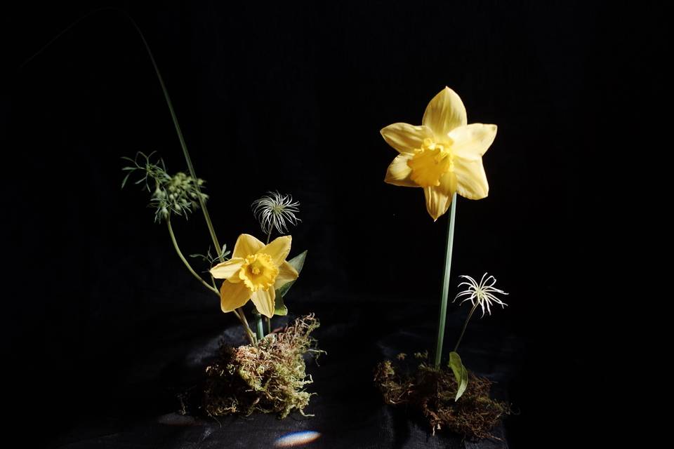 Wedding Flowers