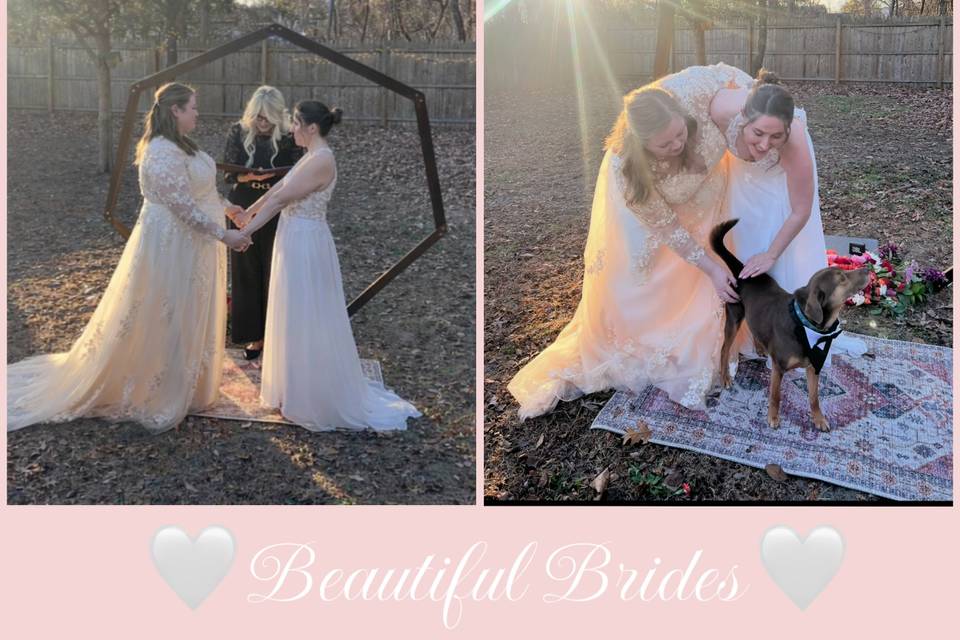 Two beautiful brides