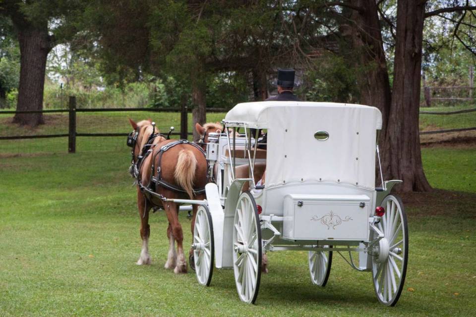 White carriage