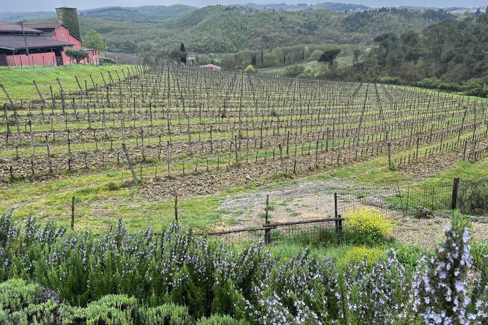 Wanders by Melissa Vacation Planning