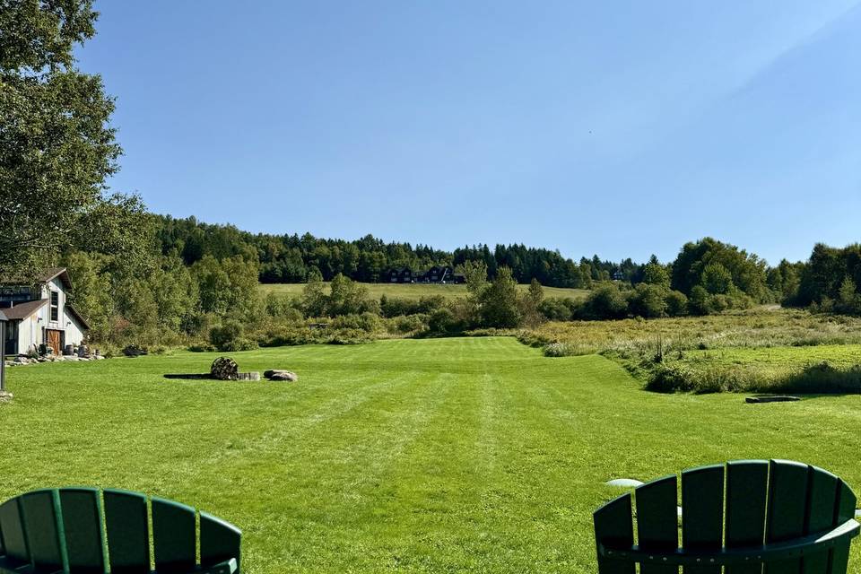 View