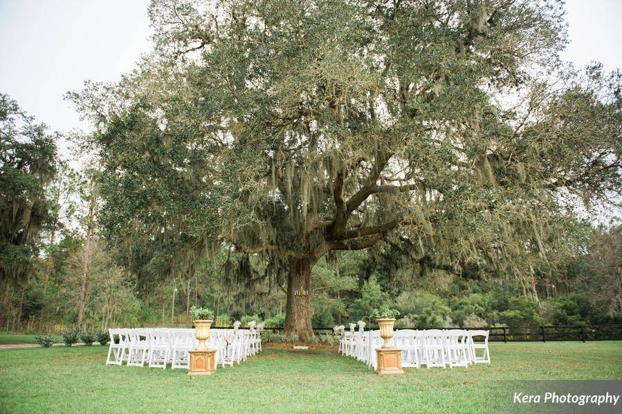 Florida Farm Weddings