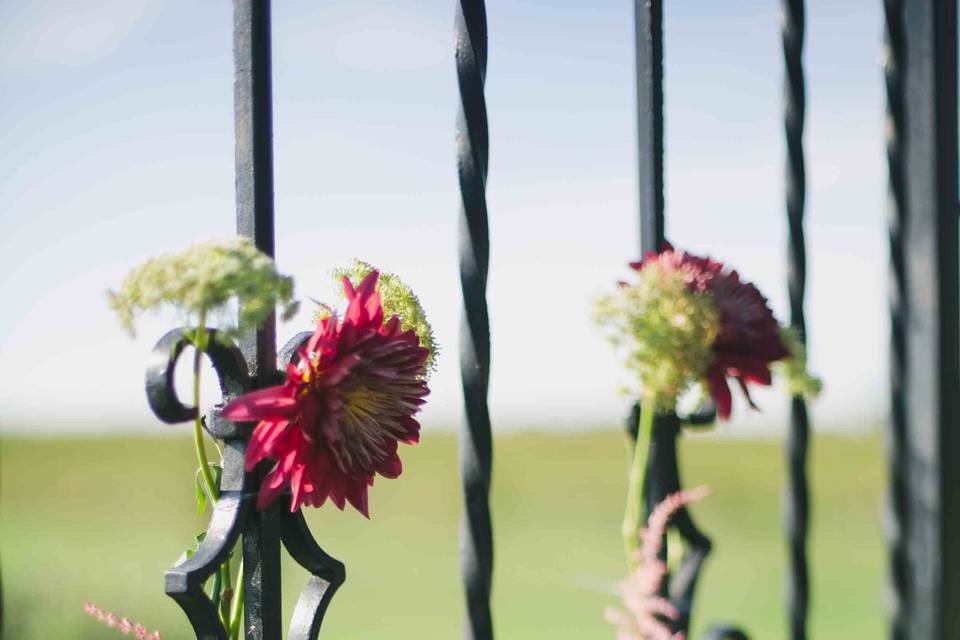 Florida Farm Weddings