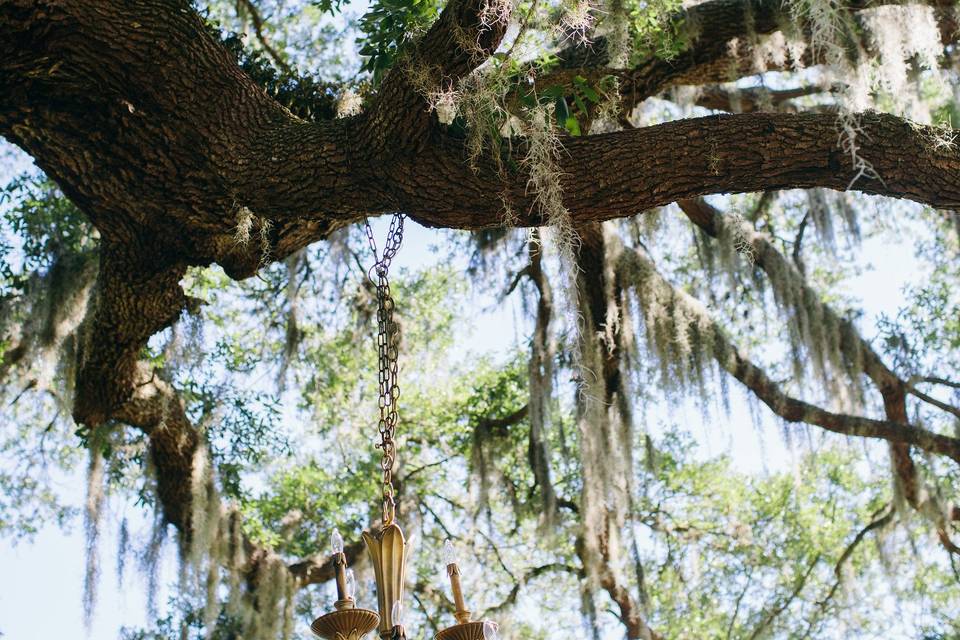 Florida Farm Weddings