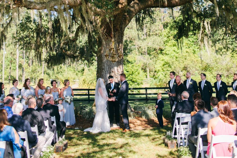 Florida Farm Weddings