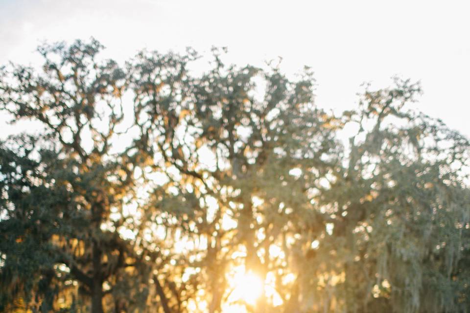 Florida Farm Weddings