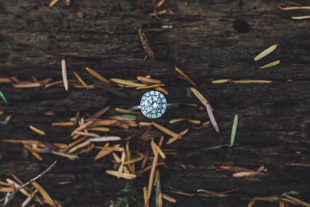 Connor Daniels Photography