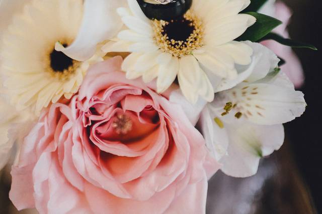 Tim Sarell Photography