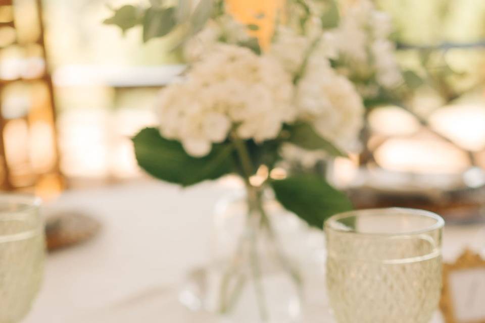 pexels-jonathanborba-19870039.jpg