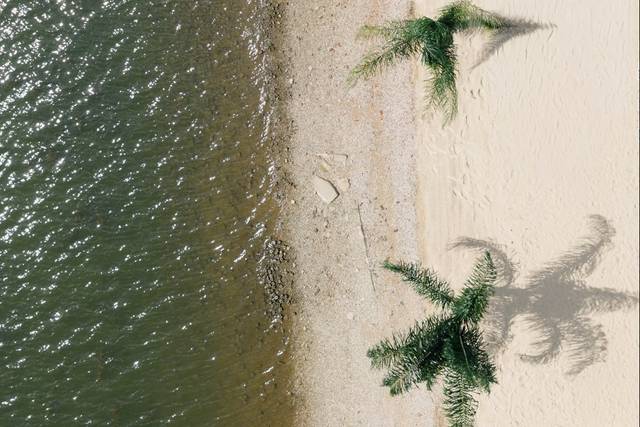 Aerial Shot of the Beach