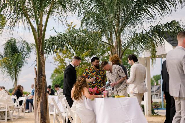 Palm Trees with Guests