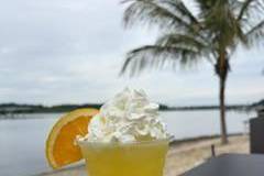 Creamsicle Crush
