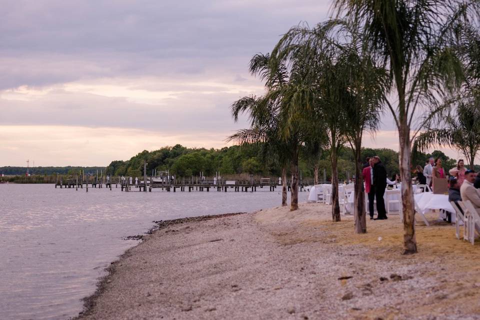 Beach View