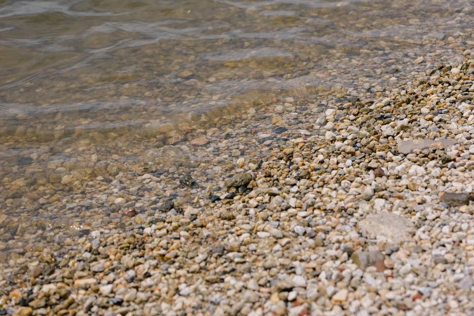 Shore