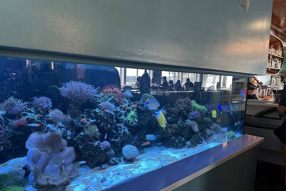 Aquarium