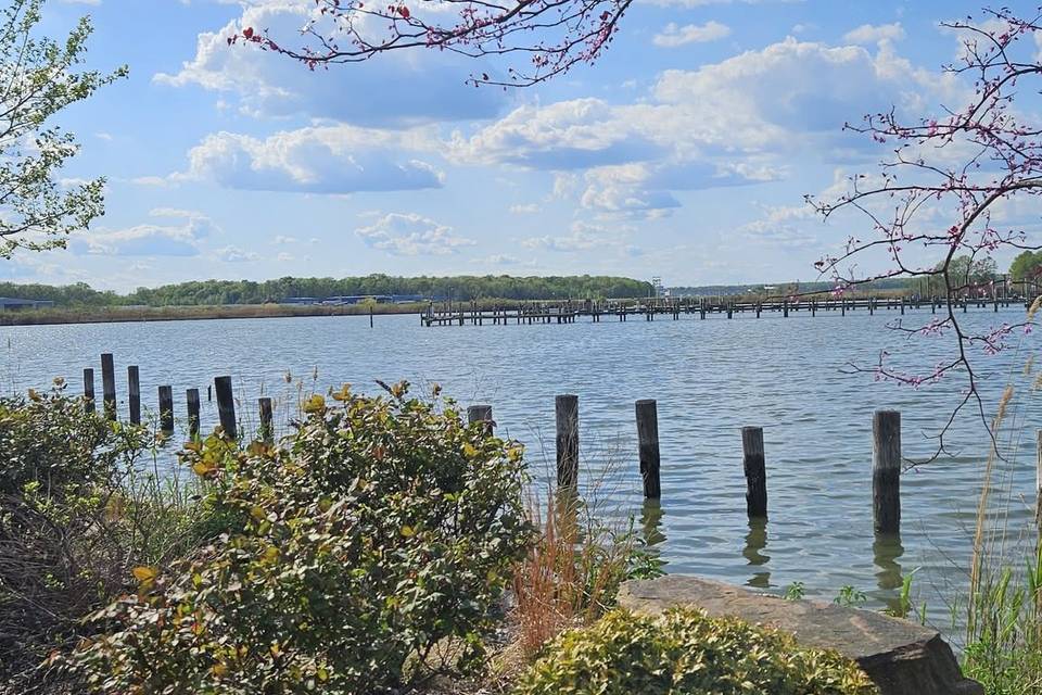 Pier View