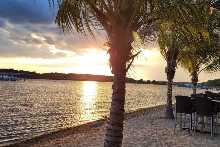 Palm Tree Bayview