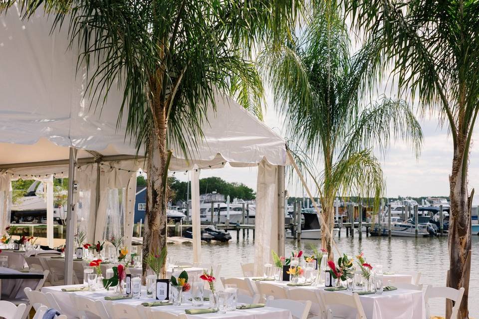 Table Setup