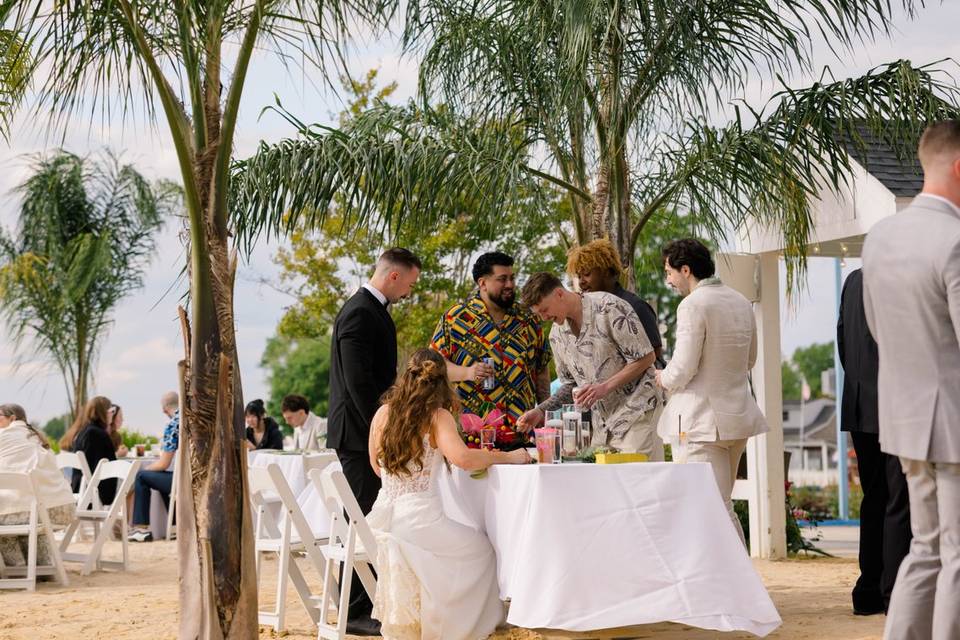 Palm Trees with Guests