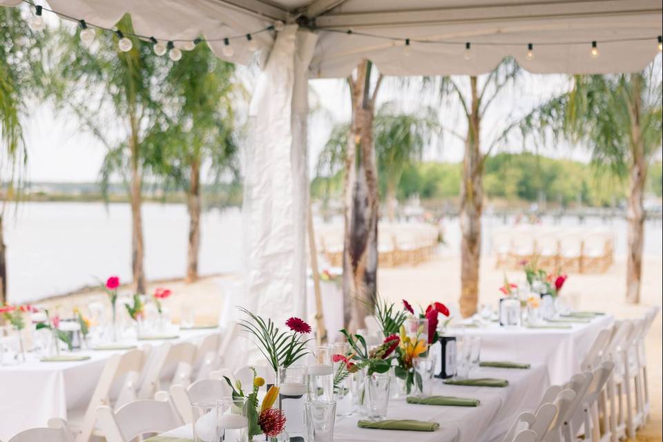 Table Setup