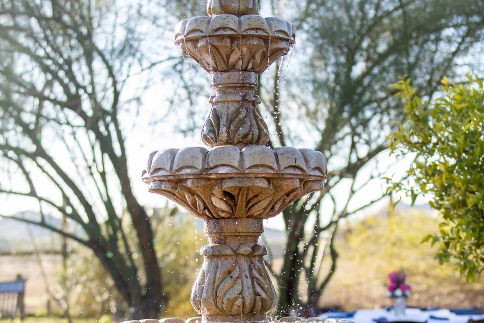 Garden Fountain Dos