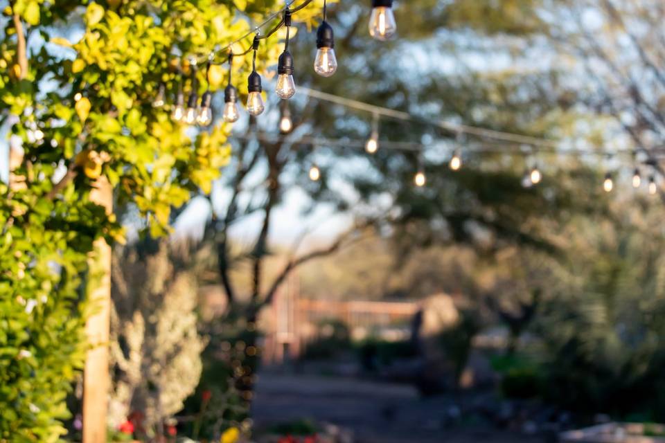 Erin Ashlee Photography