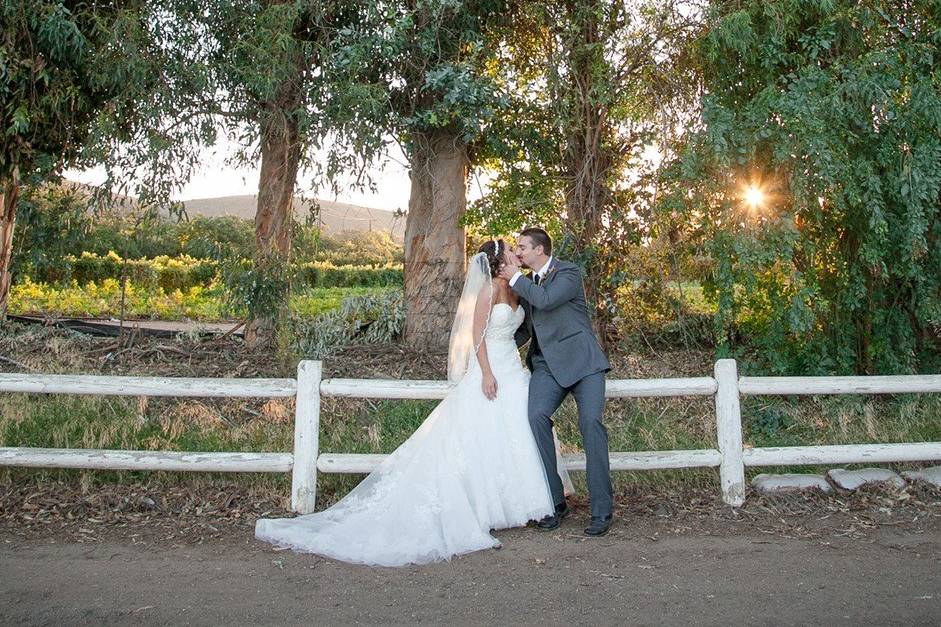 Bride and groom sunset