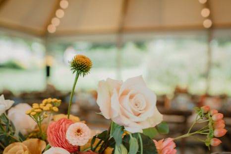 Sticks and Stems Floral