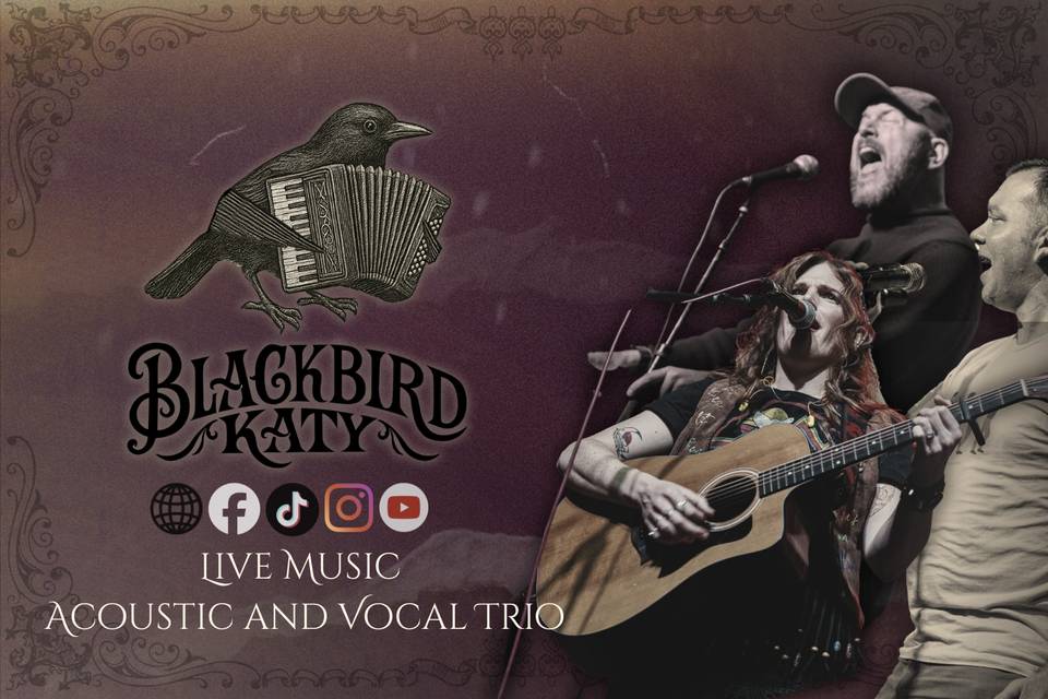 Blackbird Katy Acoustic Trio