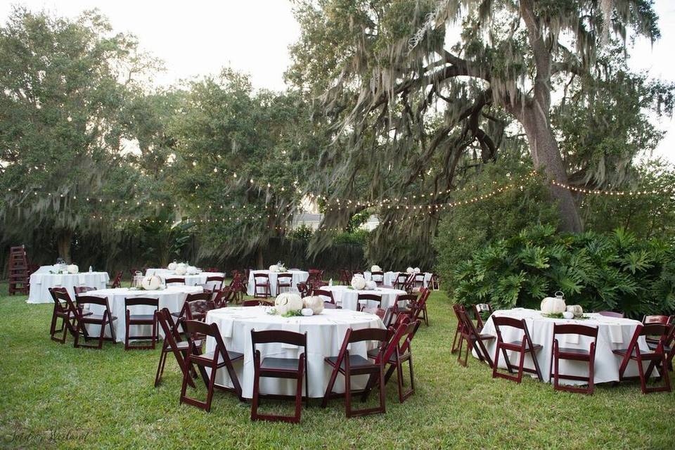 Orlando Wedding & Party Rentals