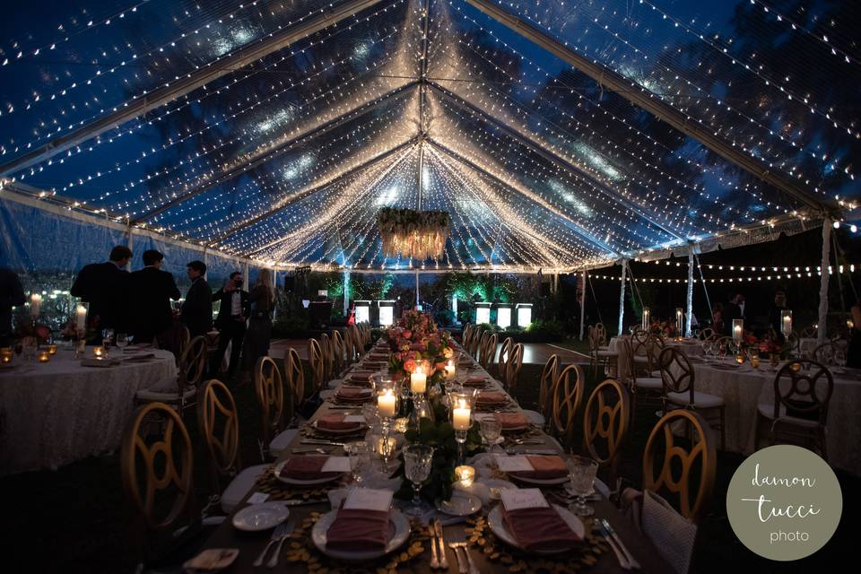 Clear Tent with Lighting