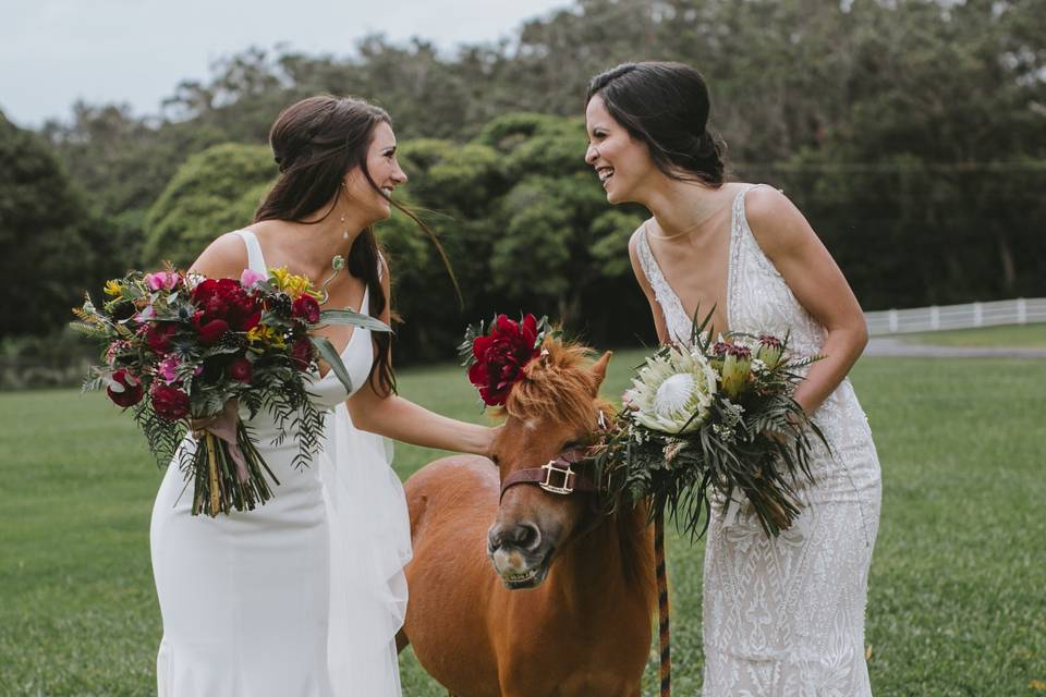 Brides share a laugh w/ a pony