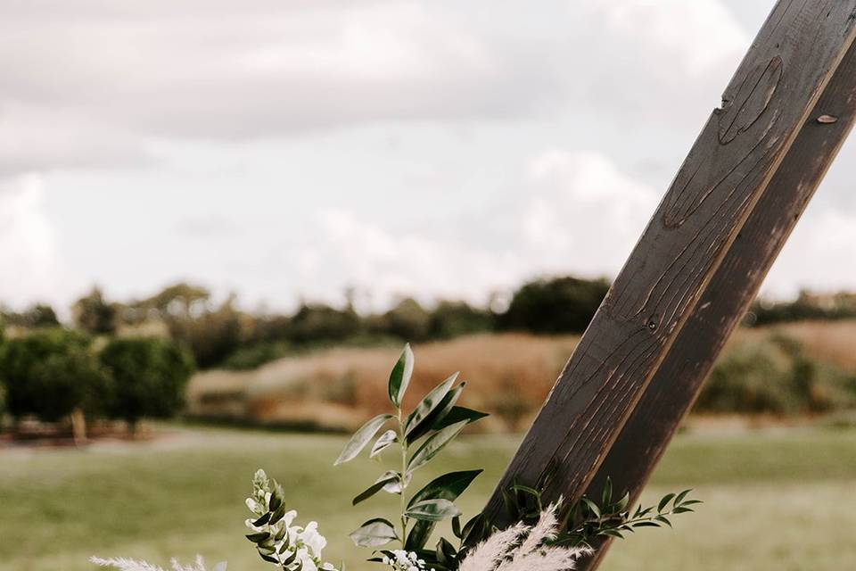 I see Pampas Grass!