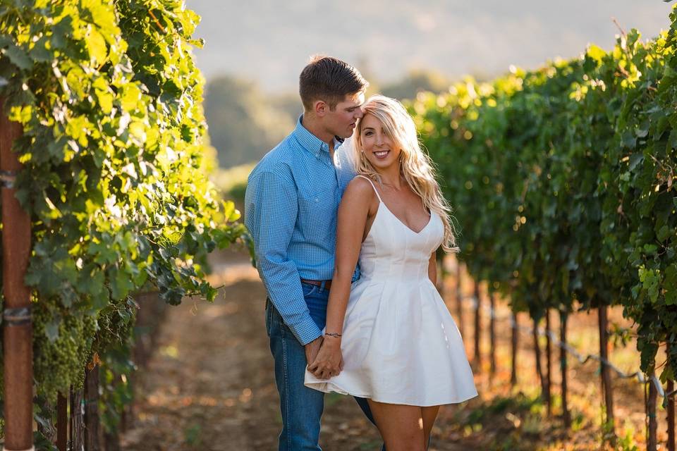 Doug Miranda Photography - Vineyard