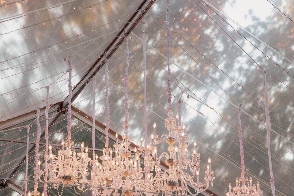 Fox Haus Events
