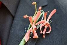 Boutonniere