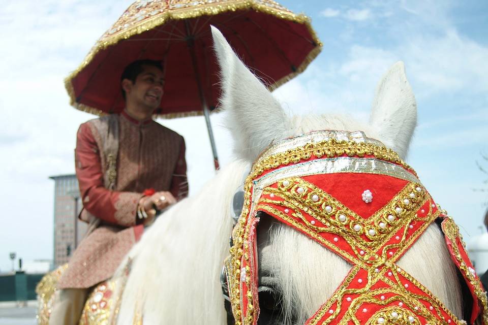 Baraat - Unique Weddings by Alexis