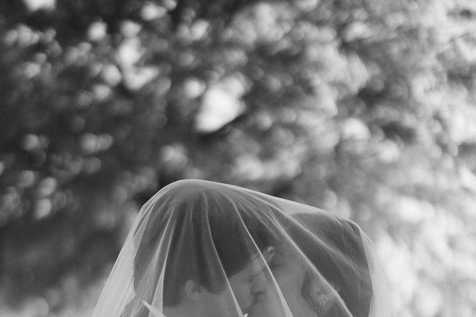 Couple veil shot