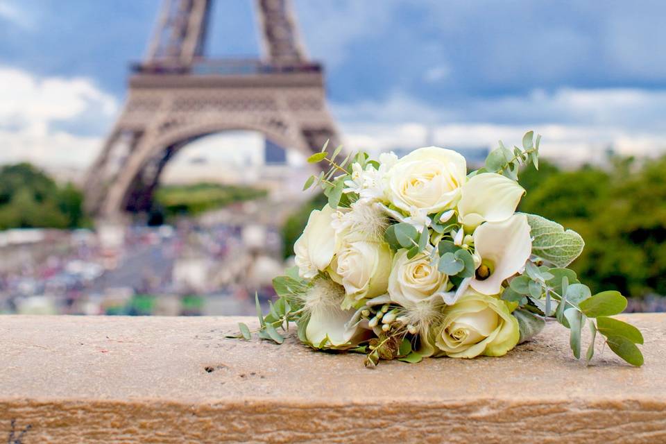 Paris wedding photography