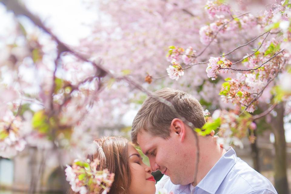 Cherry blossom wedding DC