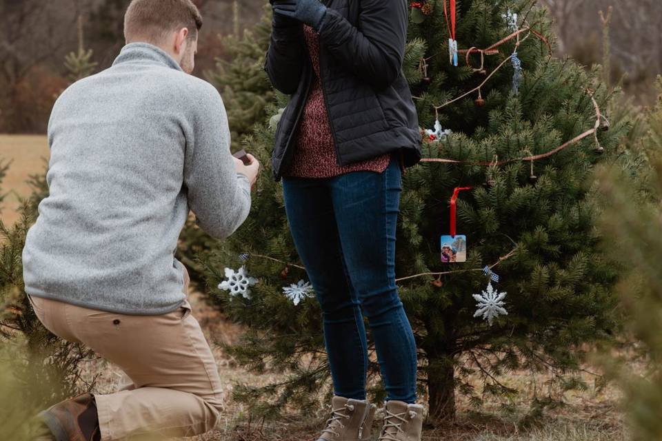 Surprise Proposal