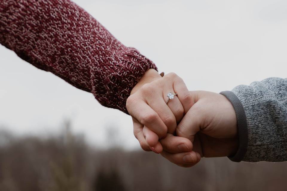 Surprise Proposal