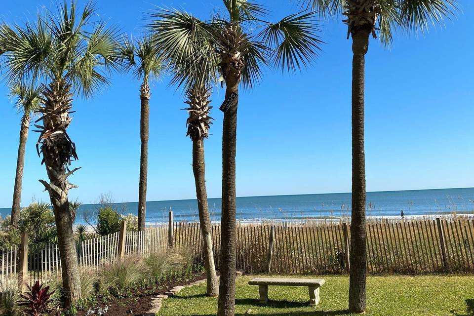 Ocean Reef Resort