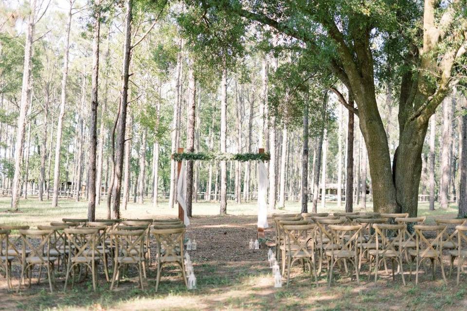 The Oak Hammock